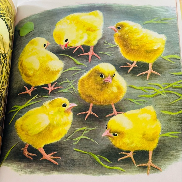 My Big Golden Counting Book Large Format Vintage Picture Book - Picture 5 of 6